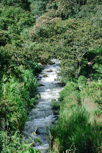 Colombian coffee process with beautiful landscapes