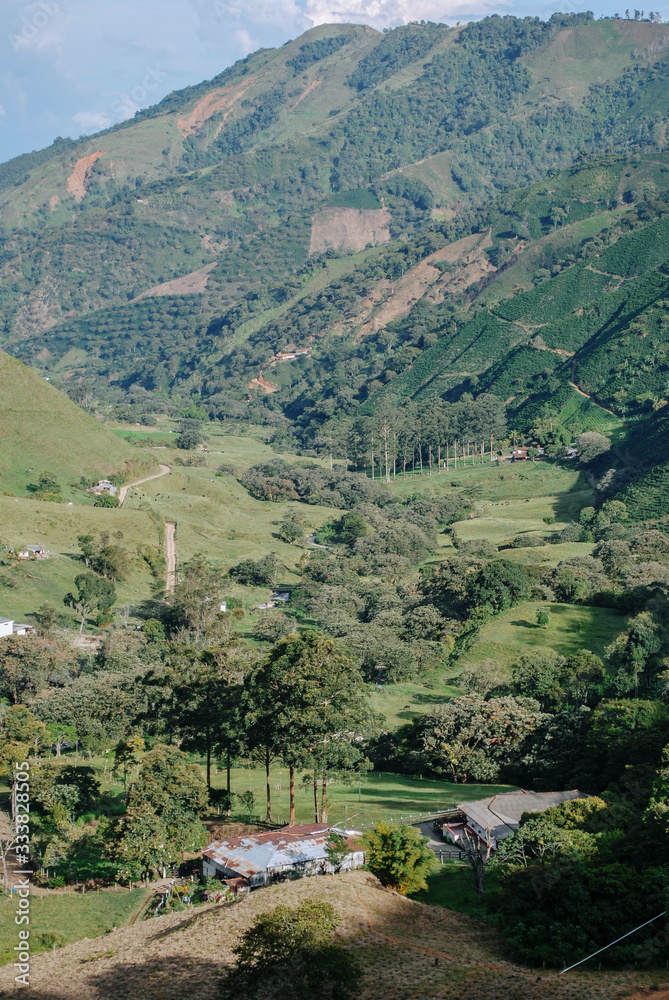 Colombian coffee process with beautiful landscapes