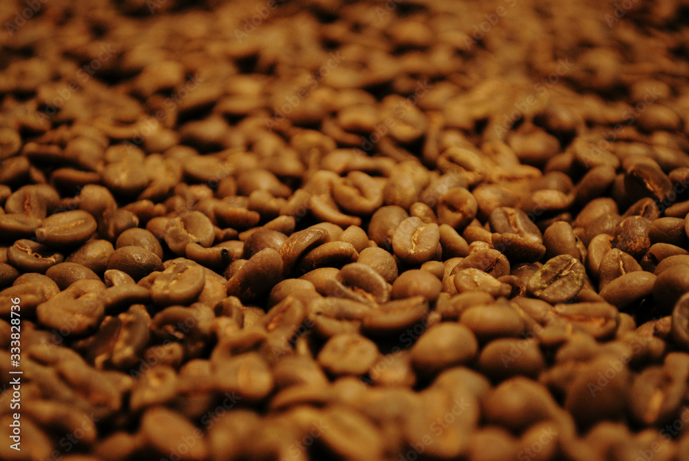 Colombian coffee process with beautiful landscapes Colombian coffee process with beautiful landscapes
