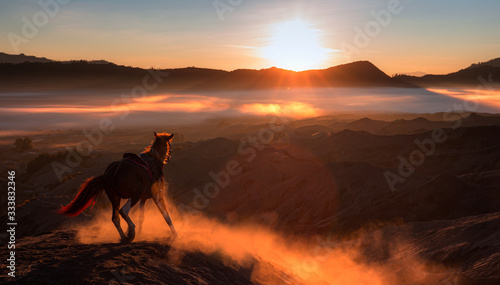 Bromo Tengger Semeru National Park with crazy horse at sunrise - East Java -Indonesia