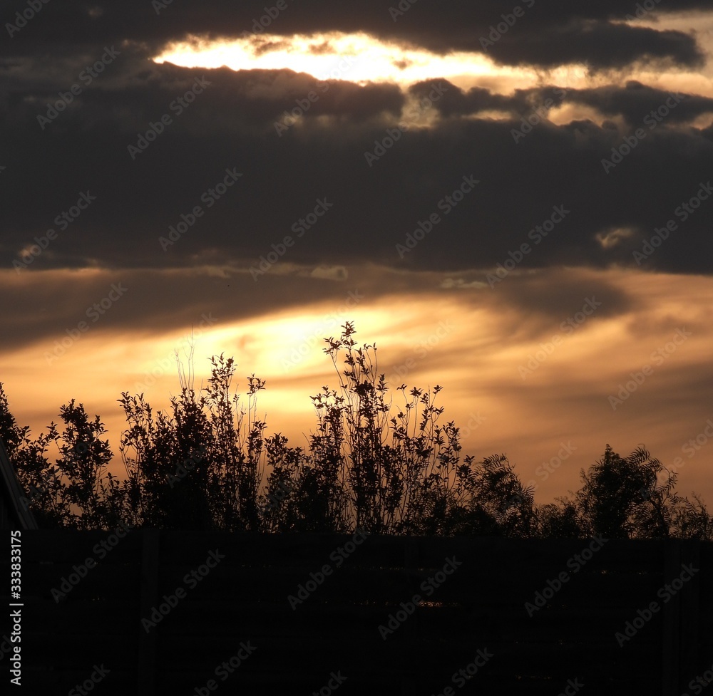 Fototapeta premium Silhouette sunset