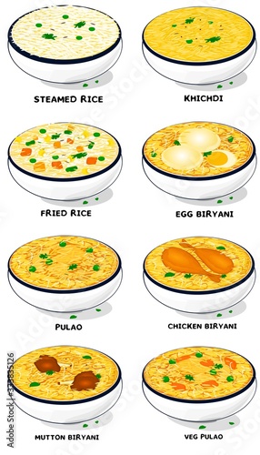 All Rice Dish Like Chicken,egg,Mutton Biryani,Khichdi,Pulao,Fried rice,Veg Biryani Food Vector