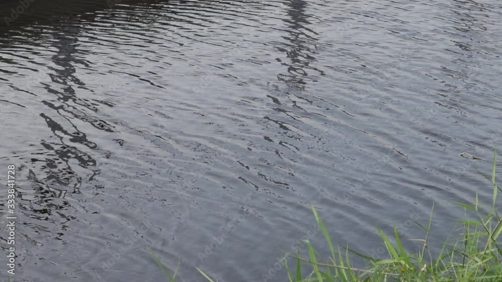 Water surface. Close up view on reflective water surface with waves and ripple. and sunset. Water surface. Close up view on reflective water surface with waves and ripple. and sunset.