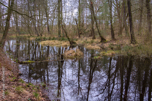 Obraz na płótnie View to a little swamp. In winter and spring there are beautiful views and reflections in the water. w salonie