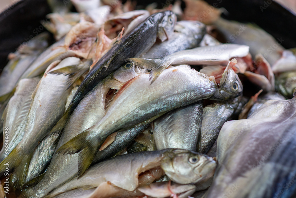 Close up group of fish arrangement on tray .Fresh horse mackerel Close up group of fish arrangement on tray .Fresh horse mackerel