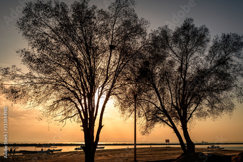 Silhoutte tree on sunrise background in Dammam Sea side -Saudi Arabia.