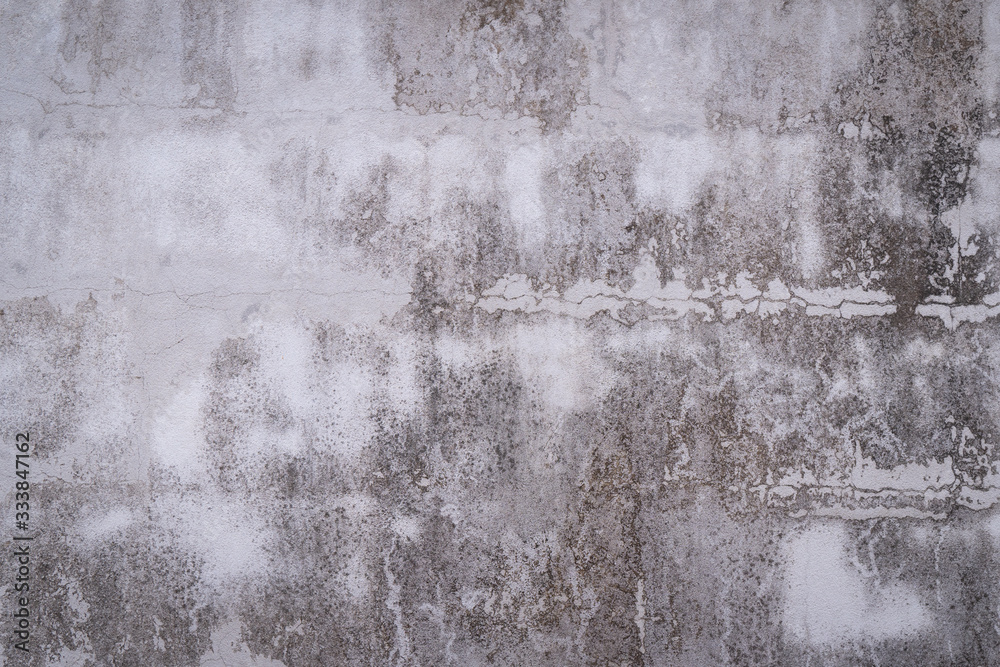 Fototapeta premium Texture of gray concrete wall surface. Some crack and scratch, suitable for use as a pattern or background image.