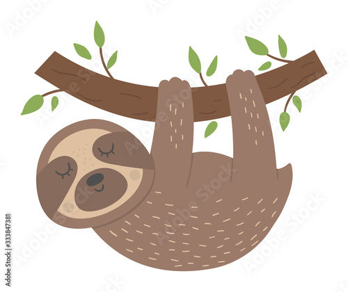 Vector cute sloth hanging on a tree brunch isolated on white background. Funny tropical exotic animal illustration. Bright flat picture for children. Jungle summer clip art.