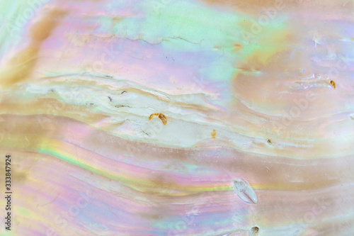 Canvas Mother of pearl sea  shell close up background