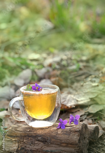 herbal tea with wild flowers violets in garden. Healing tea party.  copy space.