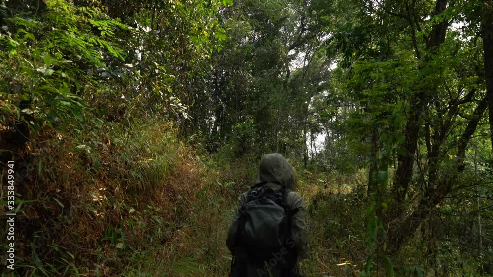 woman walking to the forest for hiking on mountain. woman walking to the forest for hiking on mountain.