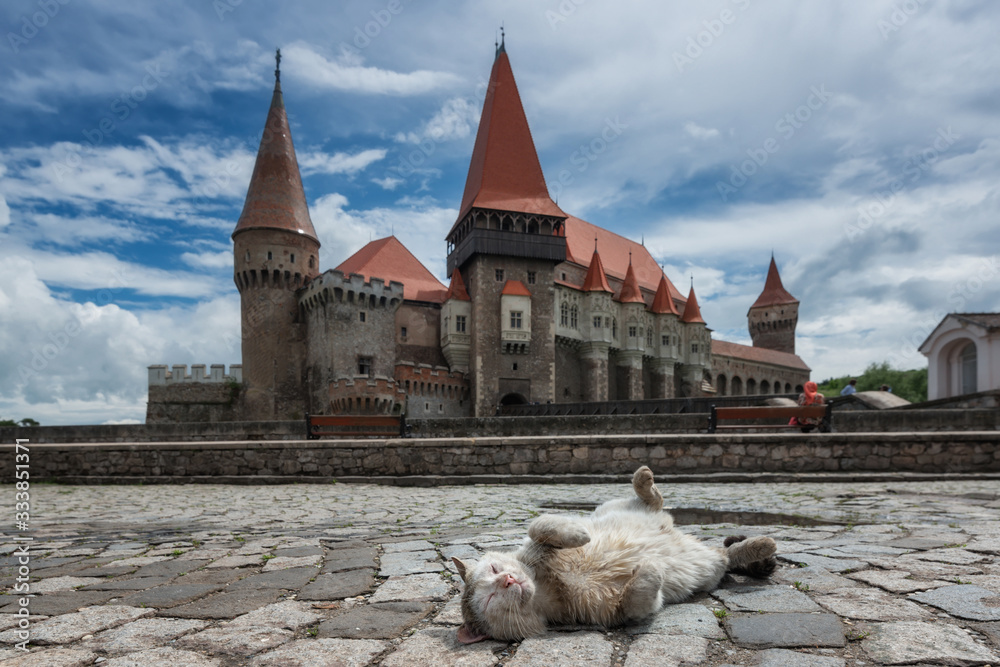 Romania,Hunedoara. Dirty Homeless Cat Lies On Cobblestone Pavement And Basks In The Sun Against Tiled Towers Of The Transylvanian Landmark - Corvin Castle,Known As Dracula Castle.Feudal House Hunyadi.