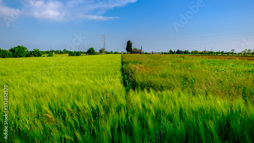 Fields of Friuli Venezia-Giulia