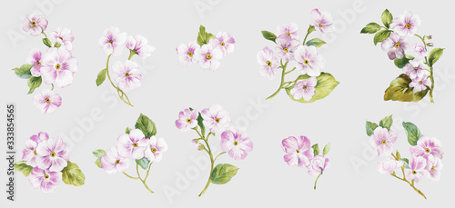 Flowers watercolor illustration.Manual composition.Big Set watercolor elements.