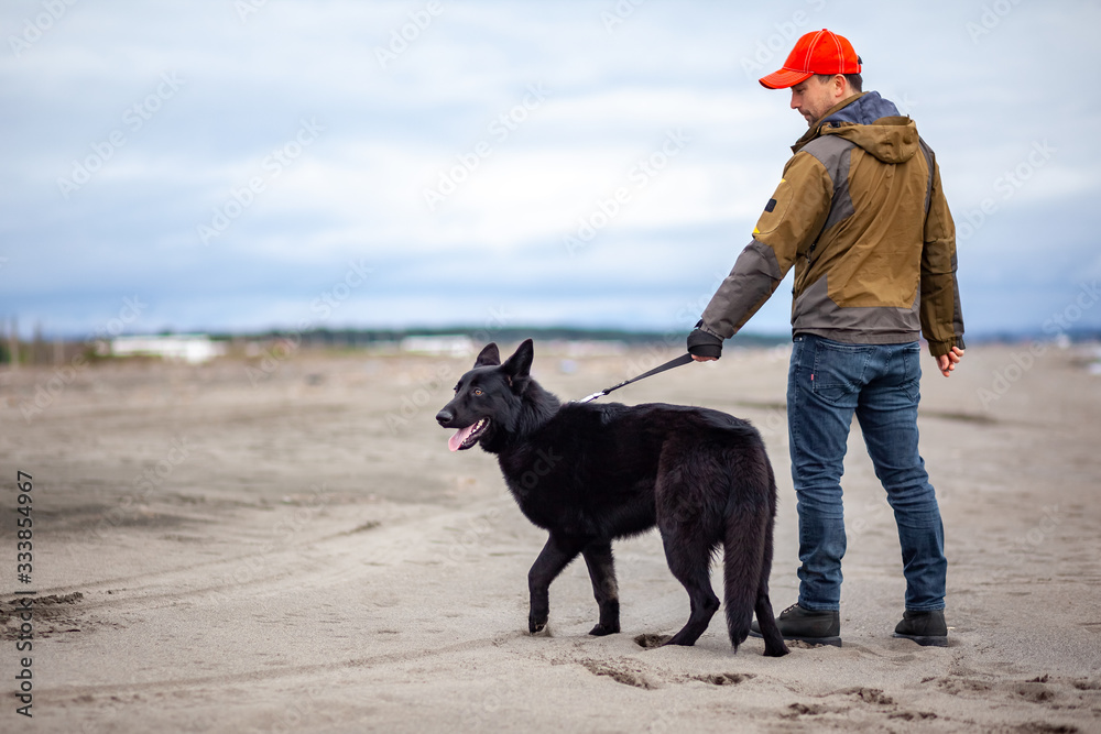 German Shepherd and its owner walk along shore of Black Sea, Poti German Shepherd and its owner walk along shore of Black Sea, Poti