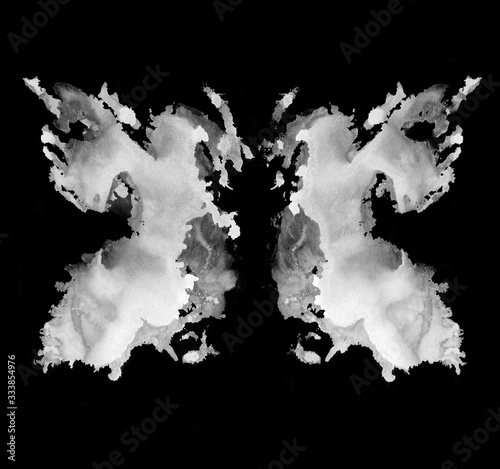 Obraz na płótnie Rorschach test ink blot illustration. Psychological test. Silhouette of black butterfly isolated. 