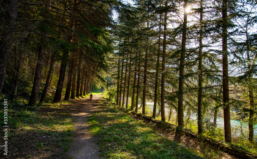 Fototapeta premium Breil sur Roya-Mercantour-Sentier de l'Arpette