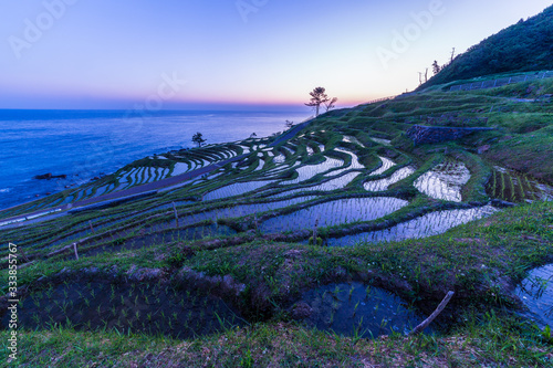 夜明けの白米千枚田。