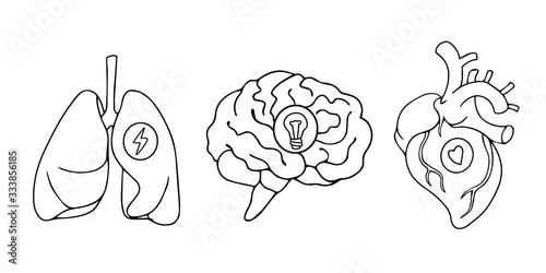 Line art style drawing, stickers design of lungs, hearts and brains icons black and white line art drawing