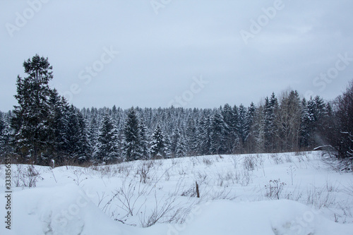 snowy forest © kapralov
