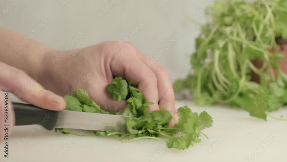 Hands cutting fresh coriander herb in kitchen with knife medium shot Hands cutting fresh coriander herb in kitchen with knife medium shot