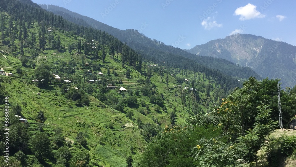 clear sky below green trees in Naran Pakistan