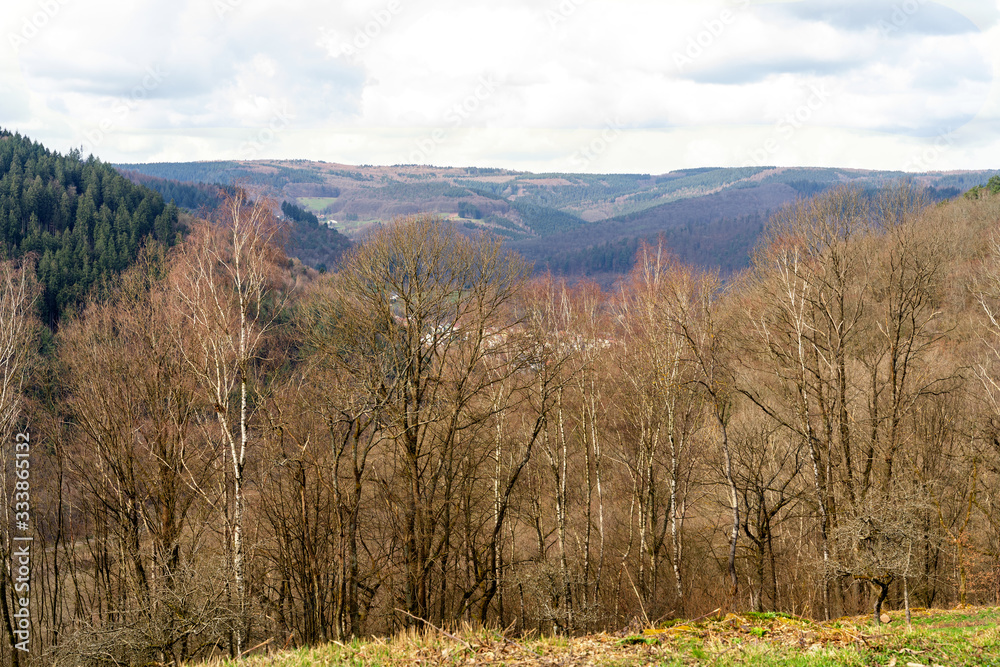 Fototapeta premium Weitsicht Odenwald