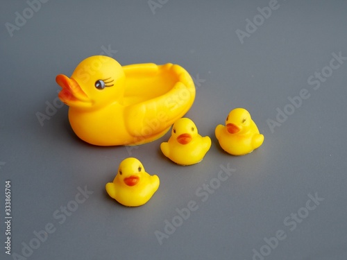 Yellow ducks rubber toy family on white background