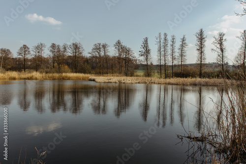 Sunny spring day in the countryside. Water reflection. Trees reflected in water. Tranquil landscape scene. Water and trees.