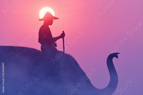 Elephant and mahous on during sunrise at elephant hometown ,Surin Thailand photo