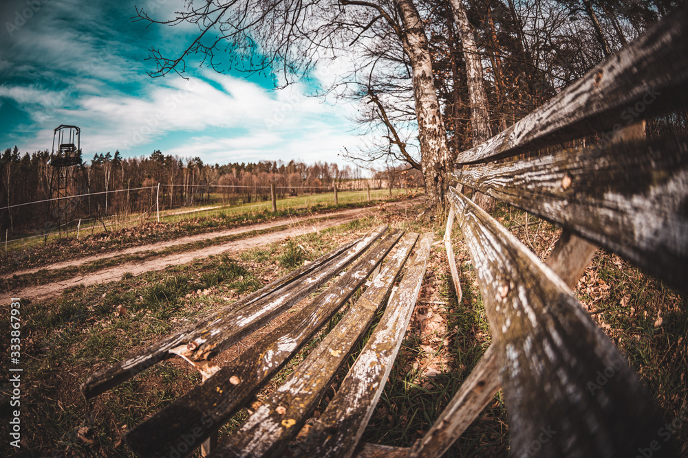 Wald Bank ausruhen