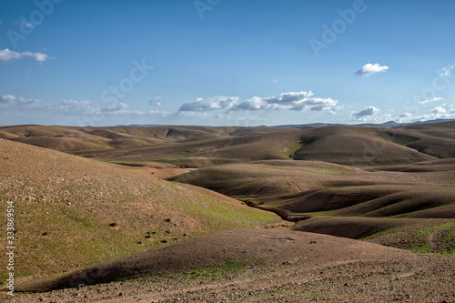 Judaean desert green hills at spring