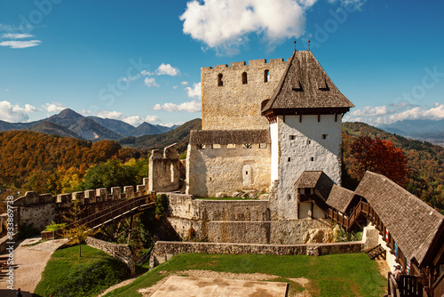 Castle in Celje city