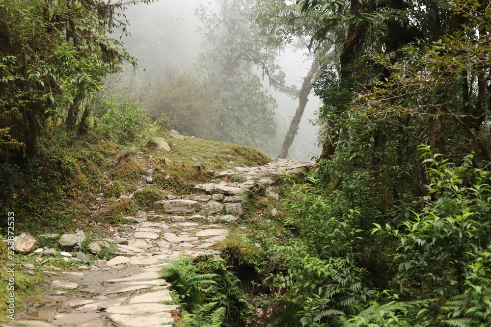 Path in the fog in Nepal