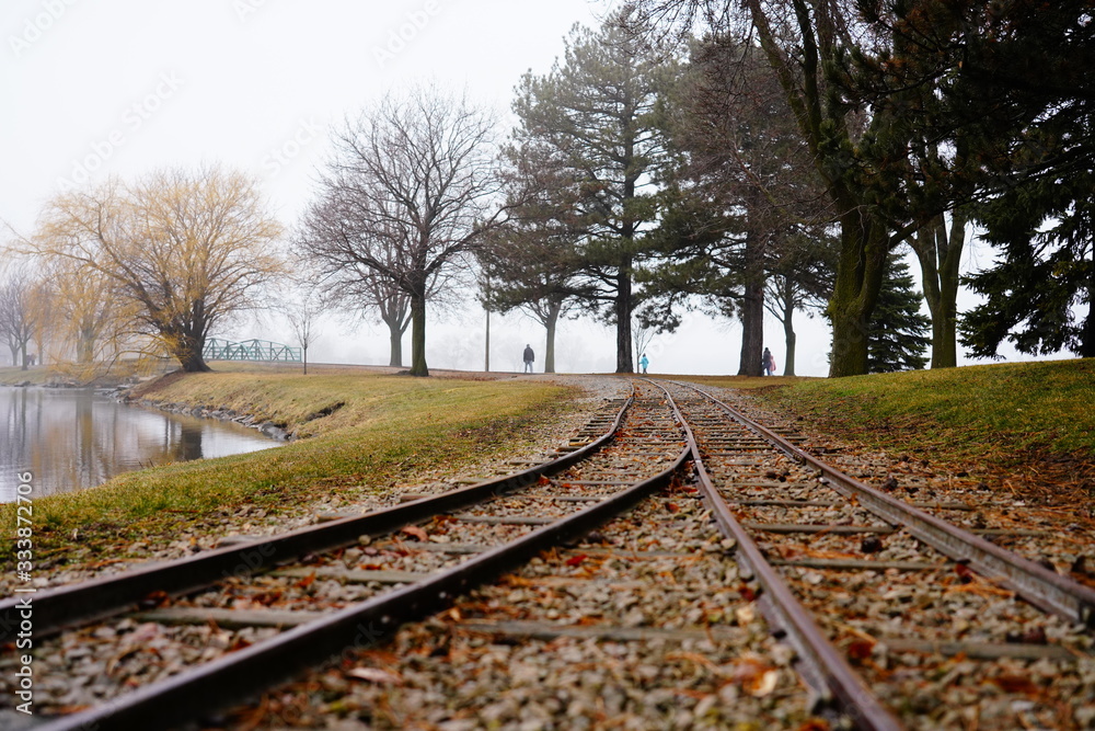 Obraz premium railroad tracks in the forest