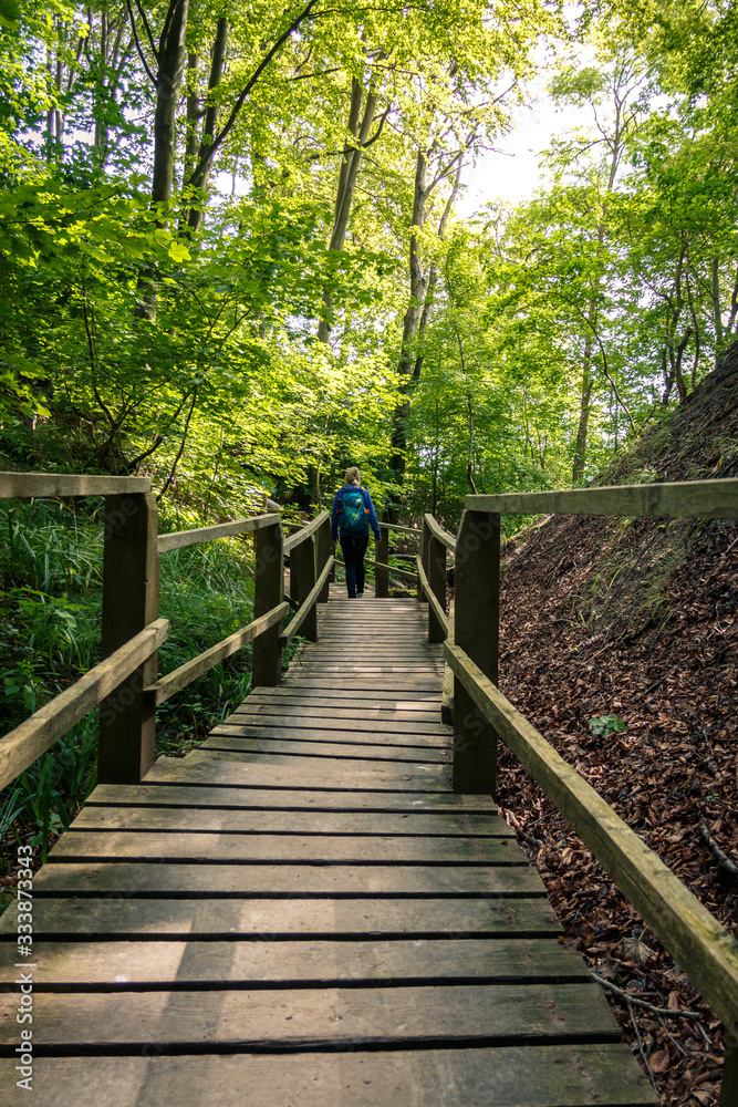 Wandern durch den Buchenwald im Nationalpark Jsmund auf der Insel Rügen