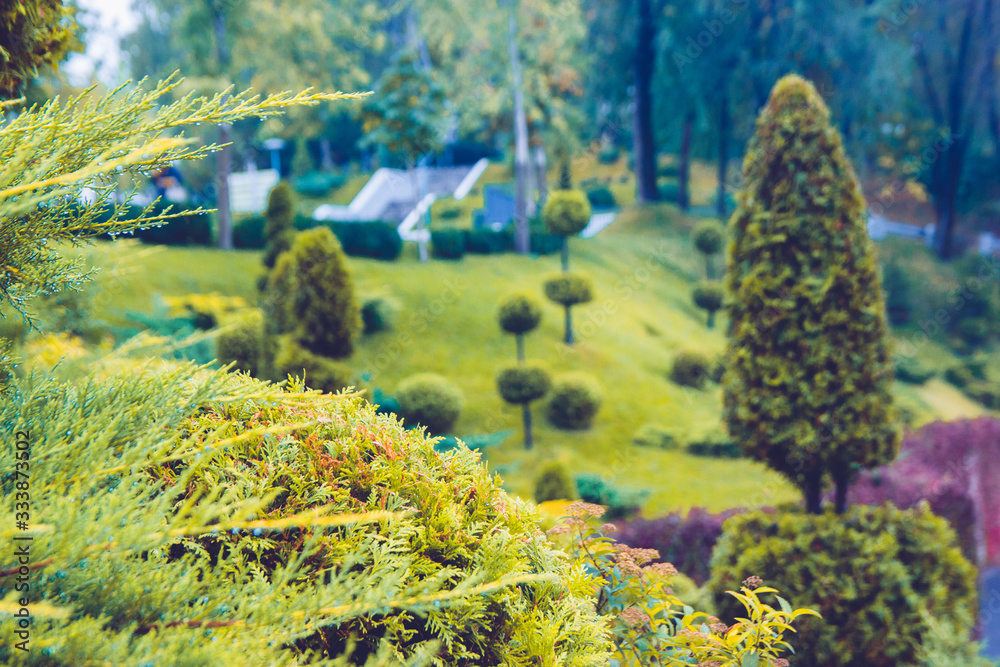 Beautiful green park with trees, shrubs and green lawns, landscape spring and summer design