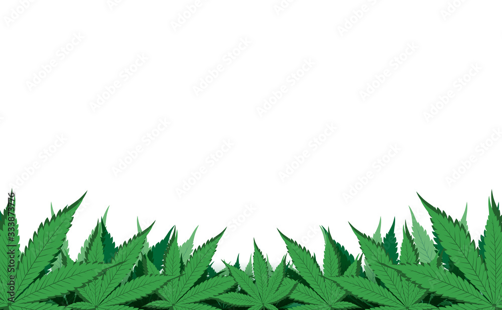 Cannabis leafs border, Green leaves isolated on white background with copy space, Flat vector illustration design, Cannabis leafs border, Green leaves isolated on white background with copy space, Flat vector illustration design,