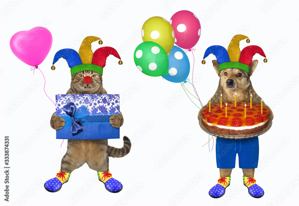 The dog and the cat dressed in costumes of clowns. The first of them holds a holiday fruit pie with seven candles, the second holds a gift box. White background. Isolated. The dog and the cat dressed in costumes of clowns. The first of them holds a holiday fruit pie with seven candles, the second holds a gift box. White background. Isolated.
