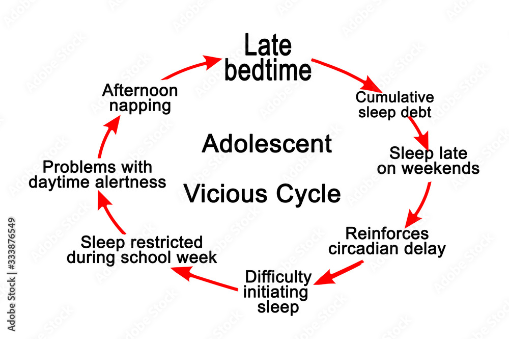 Components of Adolescent Vicious Cycle