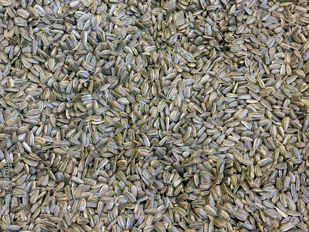 Unpeeled sunflower seeds top view Unpeeled sunflower seeds top view