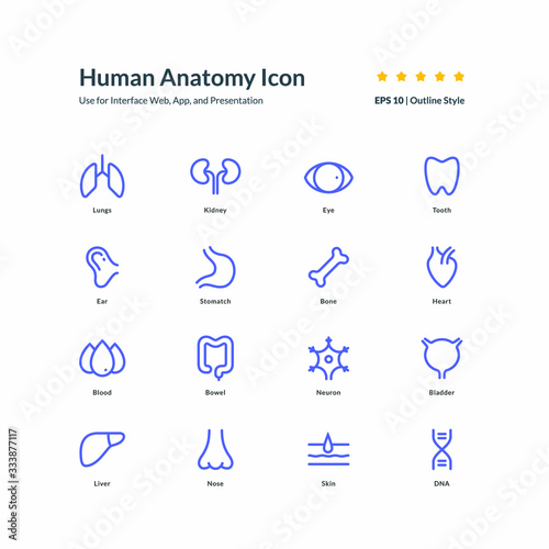 human anatomy icon set graphic design vector illustration for interface mobile web presentation