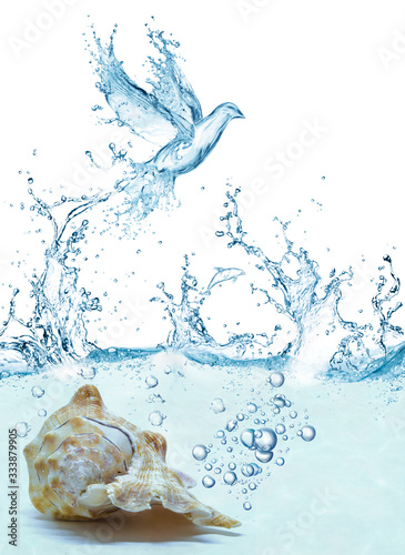 artwork of liquid bird and dolphin born and fly from water.