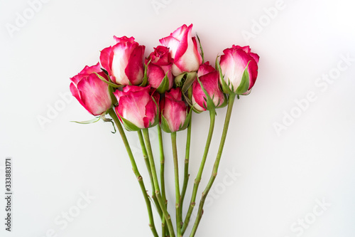 flat lay of bunch of roses on white background - copy space