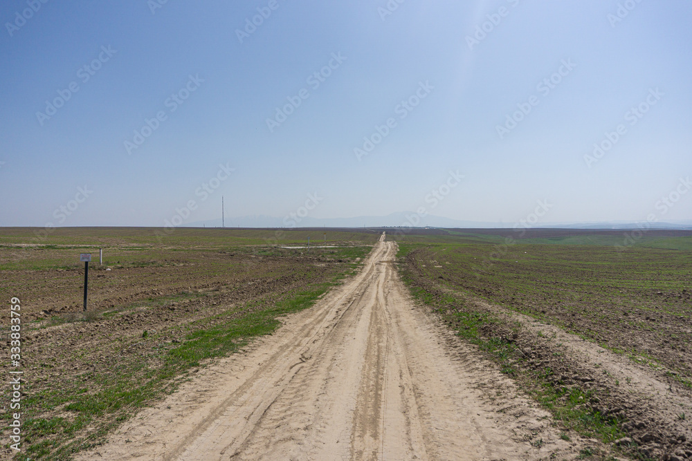 Naklejka premium dirt road going to the horizon