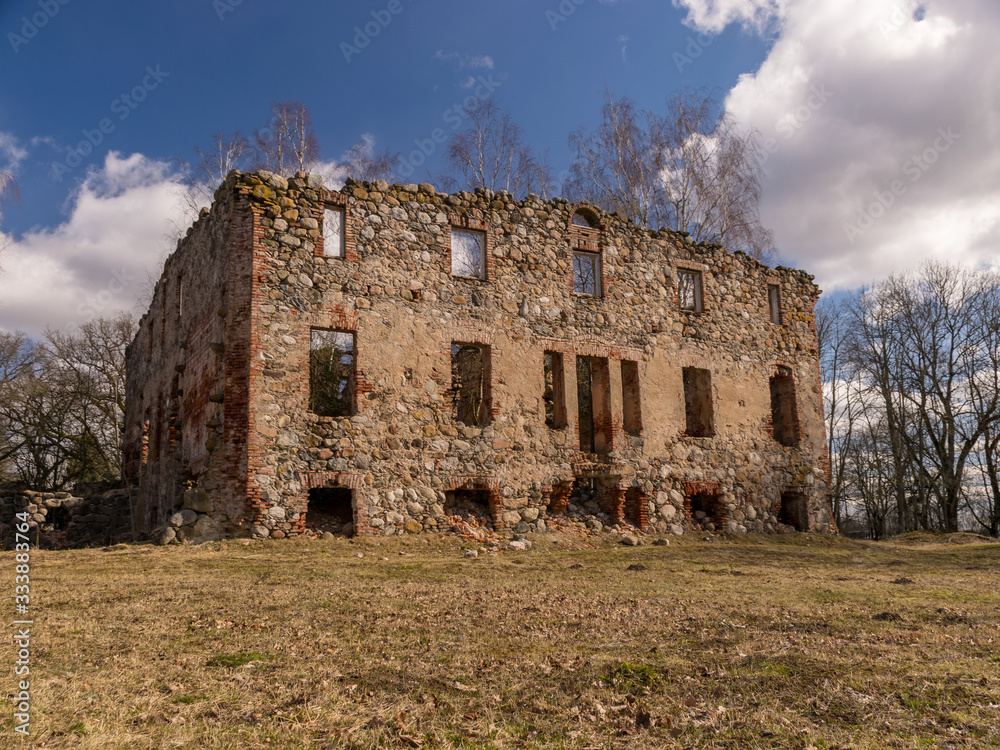 wonderful landscape with ruins of an old manor house, trees in the old building, early spring