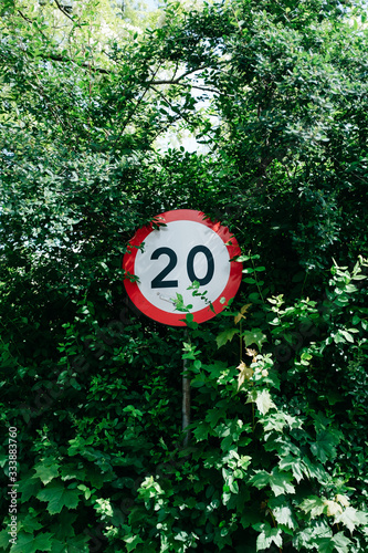 Speed limitation sign hidden in bushes