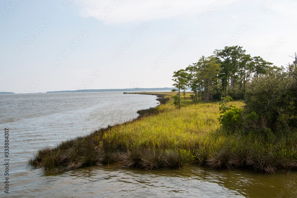 Weeks Bay Fish River wildlife preserve Park marsh meadows and forests around Bay in Alabama
