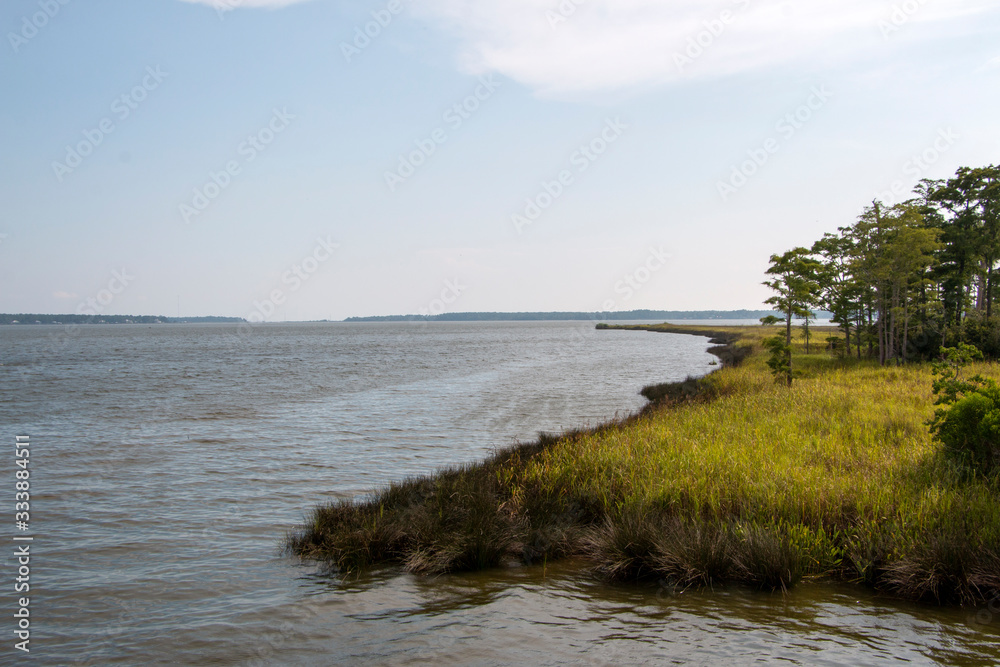 Weeks Bay Fish River wildlife preserve Park marsh meadows and forests around Bay in Alabama