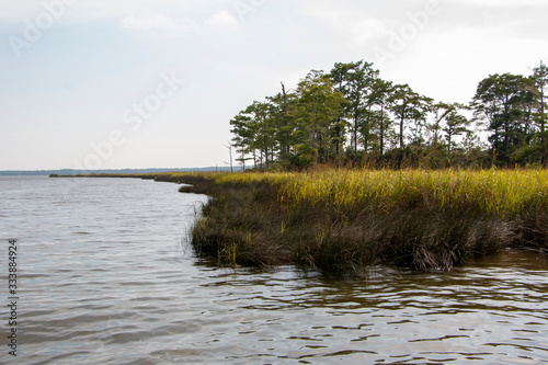 Weeks Bay Fish River wildlife preserve Park marsh meadows and forests around Bay in Alabama